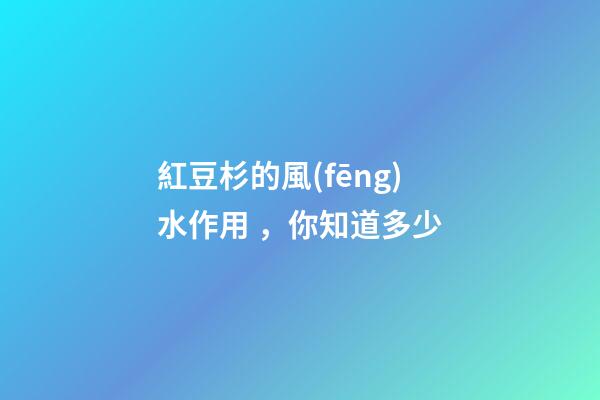 紅豆杉的風(fēng)水作用，你知道多少